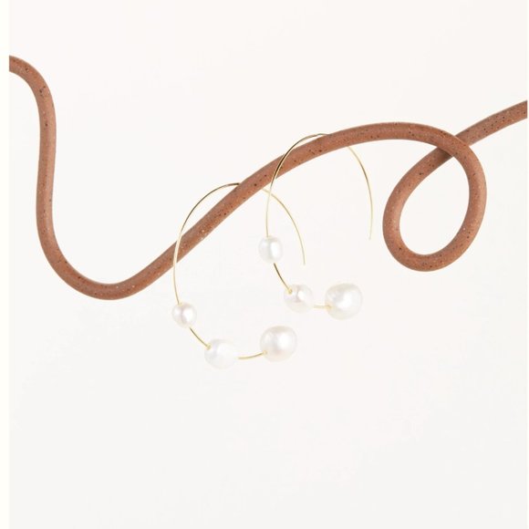 cult gaia Jewelry - Cult Gaia Nubia Hoop Earrings
